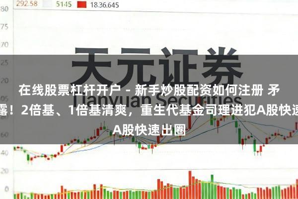 在线股票杠杆开户 - 新手炒股配资如何注册 矛头初露！2倍基、1倍基清爽，重生代基金司理进犯A股快速出圈