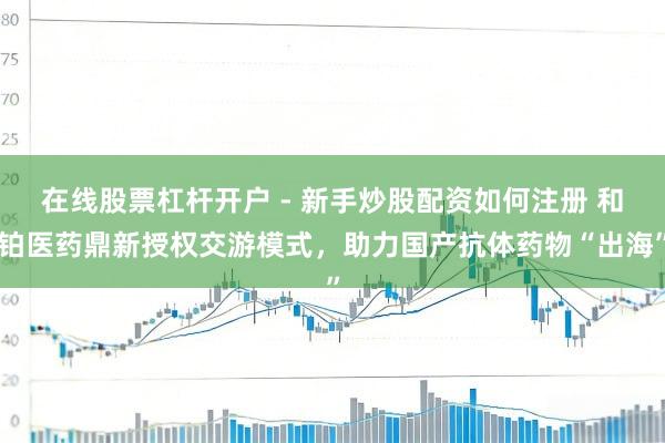 在线股票杠杆开户 - 新手炒股配资如何注册 和铂医药鼎新授权交游模式，助力国产抗体药物“出海”