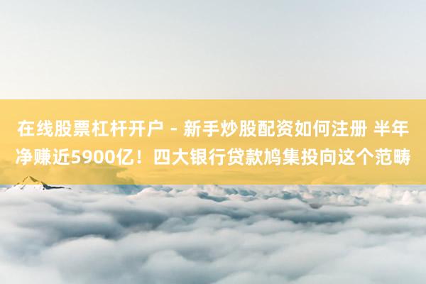 在线股票杠杆开户 - 新手炒股配资如何注册 半年净赚近5900亿！四大银行贷款鸠集投向这个范畴