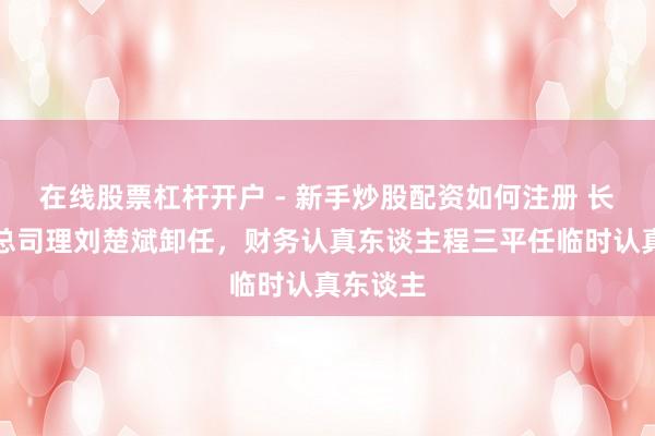 在线股票杠杆开户 - 新手炒股配资如何注册 长江财险总司理刘楚斌卸任，财务认真东谈主程三平任临时认真东谈主
