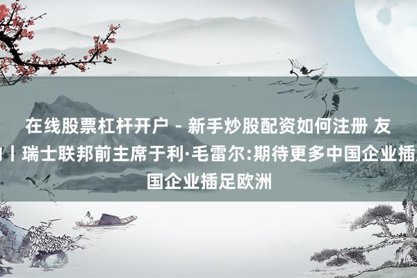 在线股票杠杆开户 - 新手炒股配资如何注册 友城之约丨瑞士联邦前主席于利·毛雷尔:期待更多中国企业插足欧洲