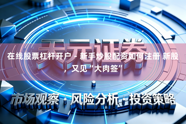 在线股票杠杆开户 - 新手炒股配资如何注册 新股，又见“大肉签”